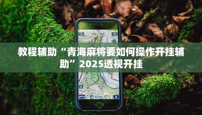 教程辅助“星远叁号辅助”详细开挂玩法 教程辅助“星远叁号辅助”详细开挂玩法