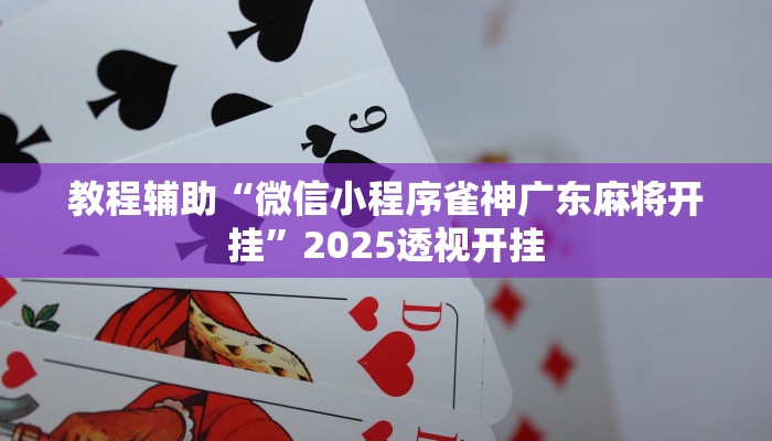 辅助神器“德州局HHpoker透视脚本”详细开挂教程