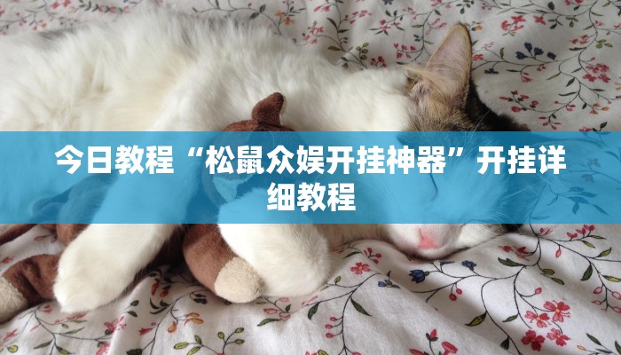 今日教程“超级三加一透视”2025透视开挂