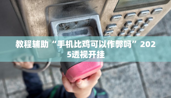 教程辅助“天庭娱乐开挂辅助软件”详细开挂玩法 教程辅助“天庭娱乐开挂辅助软件”详细开挂玩法