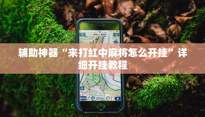 辅助神器“胜奕填大坑开挂神器”![果然有透视挂]