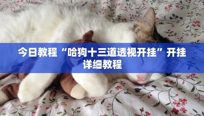 教程辅助“hhpoker作弊实战视频”2025透视开挂