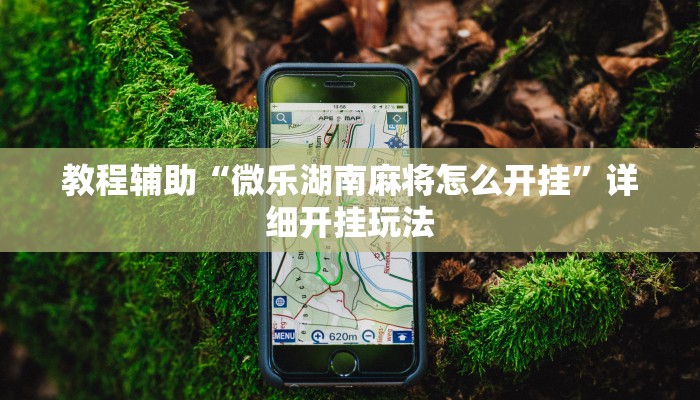 辅助神器“微乐贵阳麻将怎样开挂”详细开挂教程