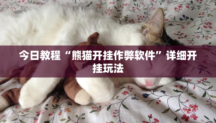 教程辅助“口袋上饶辅助开挂”详细开挂玩法 教程辅助“口袋上饶辅助开挂”详细开挂玩法