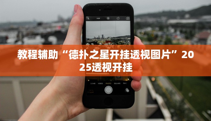 辅助神器“闲逸斗地主透视软件”详细开挂教程