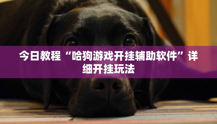 辅助神器“趣游天水麻将有挂吗可以开挂吗”详细开挂教程 辅助神器“趣游天水麻将有挂吗可以开挂吗”详细开挂教程