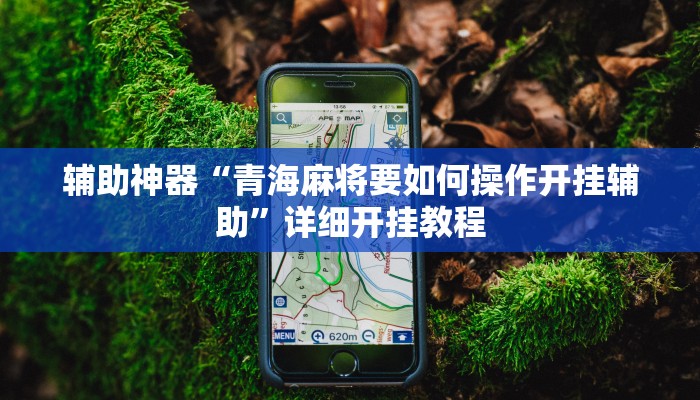 教程辅助“寓教娱乐原来确实是有挂”2025透视开挂