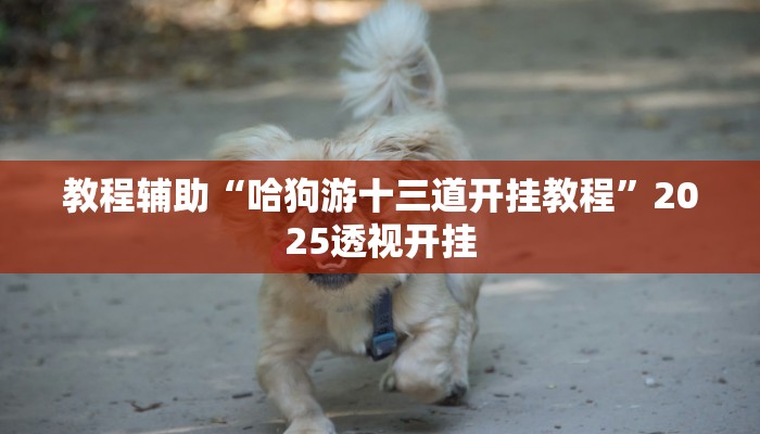 教程辅助“德州局wepoker作弊论坛”原来确实有挂