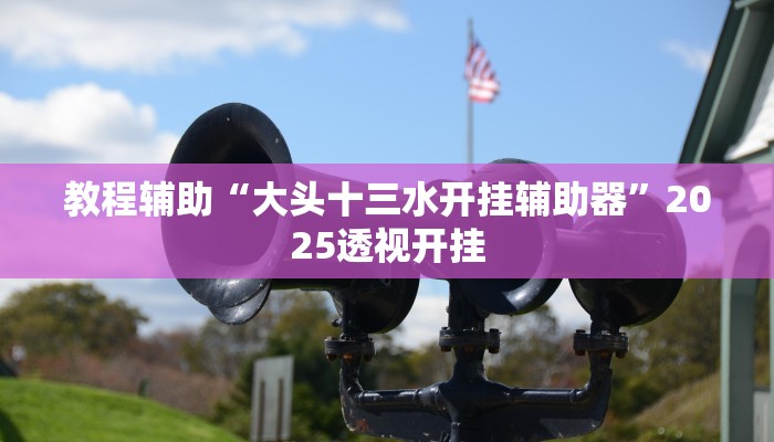 教程辅助“达人十三水辅助插件”原来确实有挂