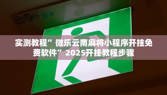 辅助神器“博乐龙江填大坑透视”详细开挂教程