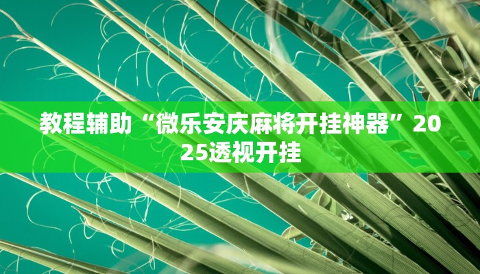 辅助开挂神器“微乐龙江麻将开挂神器下载”分享用挂教程 辅助开挂神器“微乐龙江麻将开挂神器下载”分享用挂教程
