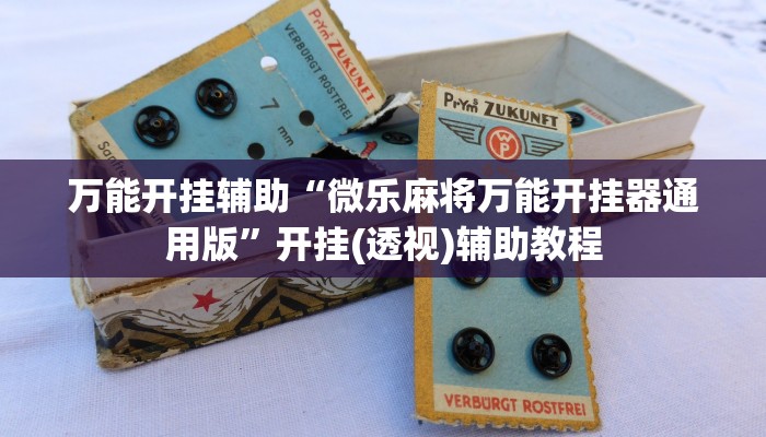 今日教程“避风阁开挂透视”2025透视开挂 今日教程“避风阁开挂透视”2025透视开挂