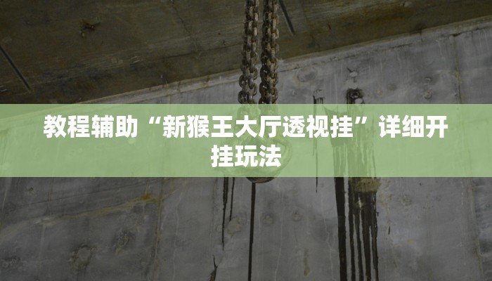 教程开挂辅助“家乡大贰辅助作弊开挂”2025开挂教程步骤 教程开挂辅助“家乡大贰辅助作弊开挂”2025开挂教程步骤