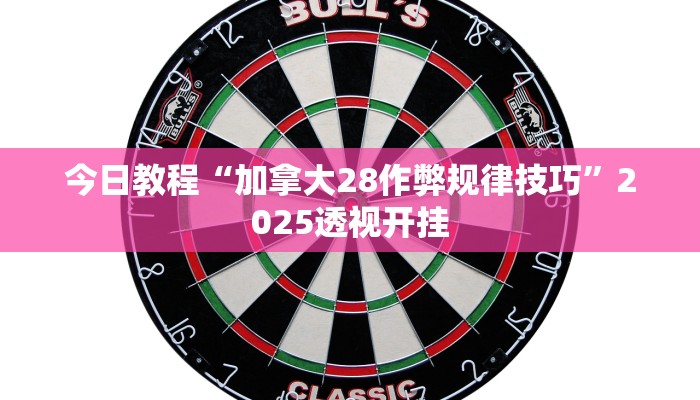 今日教程“加拿大28作弊规律技巧”2025透视开挂 今日教程“加拿大28作弊规律技巧”2025透视开挂