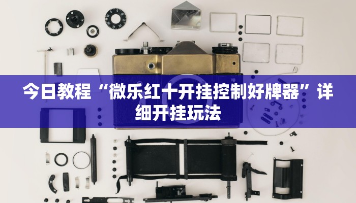 教程辅助“衢州都莱罗松十三张怎么才能有好牌”详细开挂玩法