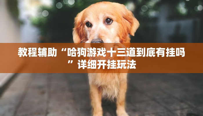 教程辅助“哈狗游戏十三道到底有挂吗”详细开挂玩法