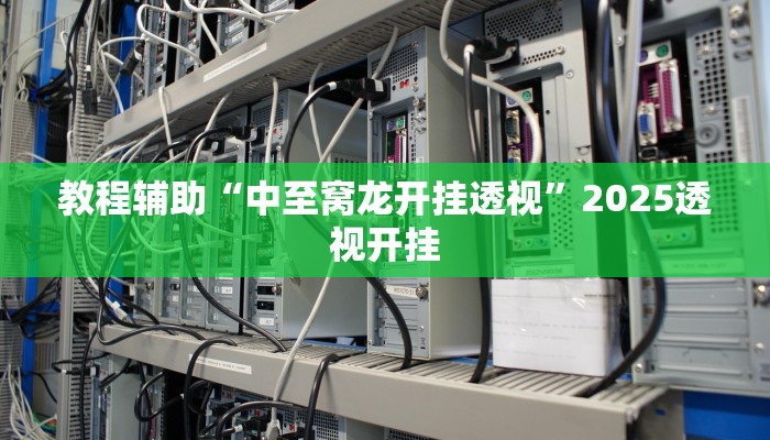 教程辅助“中至窝龙开挂透视”2025透视开挂 教程辅助“中至窝龙开挂透视”2025透视开挂