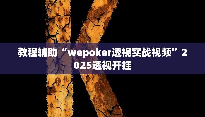 教程辅助“wepoker透视实战视频”2025透视开挂