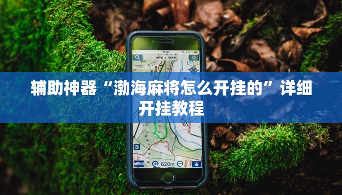 辅助神器“渤海麻将怎么开挂的”详细开挂教程 辅助神器“渤海麻将怎么开挂的”详细开挂教程