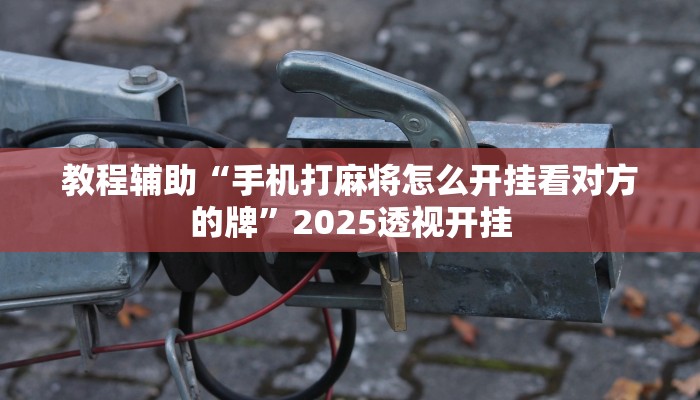 教程辅助“手机打麻将怎么开挂看对方的牌”2025透视开挂 教程辅助“手机打麻将怎么开挂看对方的牌”2025透视开挂