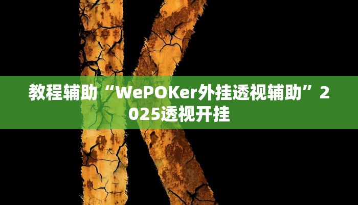 教程辅助“WePOKer外挂透视辅助”2025透视开挂 教程辅助“WePOKer外挂透视辅助”2025透视开挂
