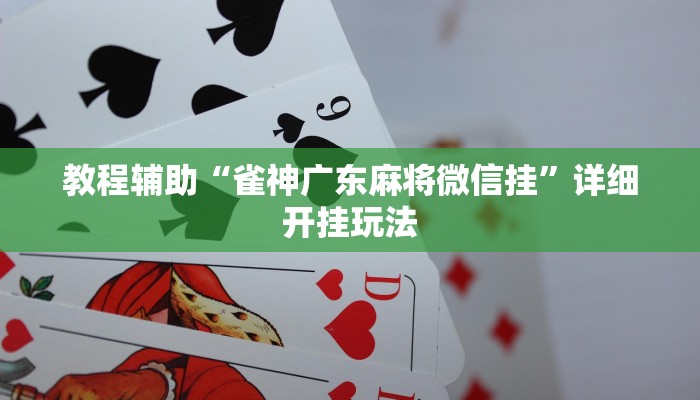 教程辅助“腾讯天天麻将挂辅助挂方法”2025透视开挂