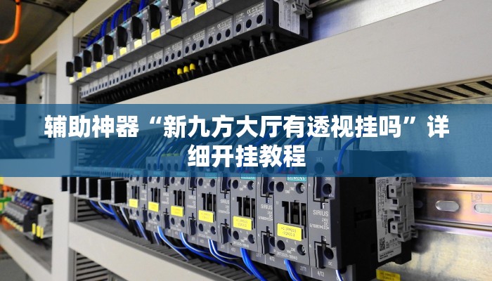 辅助神器“新九方大厅有透视挂吗”详细开挂教程