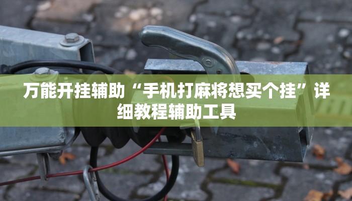 万能开挂辅助“手机打麻将想买个挂”详细教程辅助工具 万能开挂辅助“手机打麻将想买个挂”详细教程辅助工具