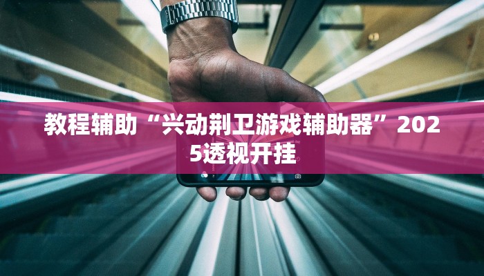 教程辅助“兴动荆卫游戏辅助器”2025透视开挂