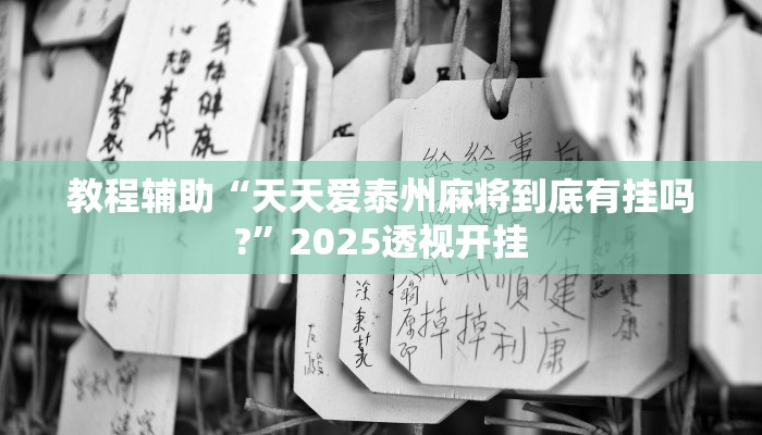 教程辅助“天天爱泰州麻将到底有挂吗?”2025透视开挂