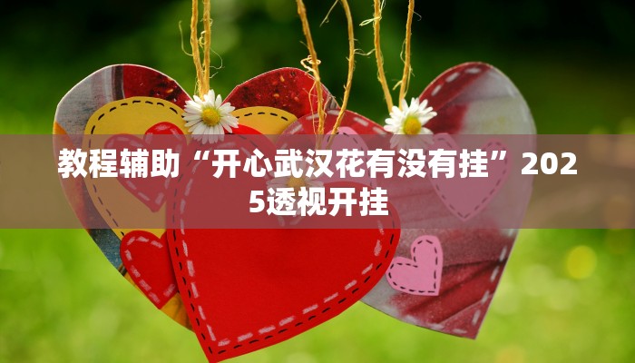 教程辅助“开心武汉花有没有挂”2025透视开挂