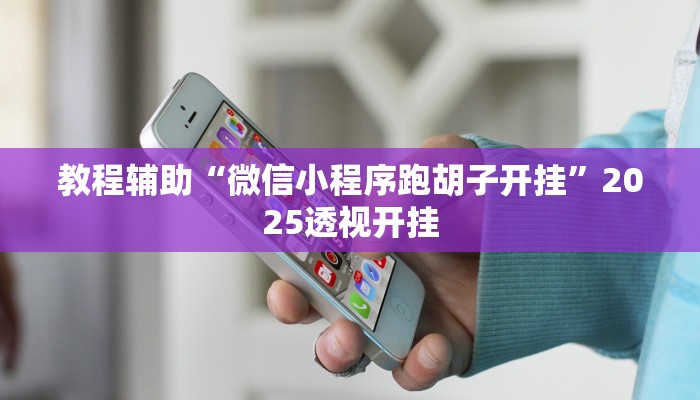 教程辅助“微信小程序跑胡子开挂”2025透视开挂