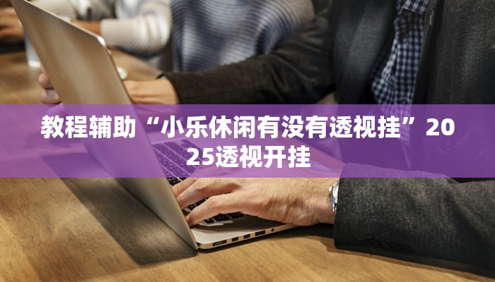 教程辅助“小乐休闲有没有透视挂”2025透视开挂