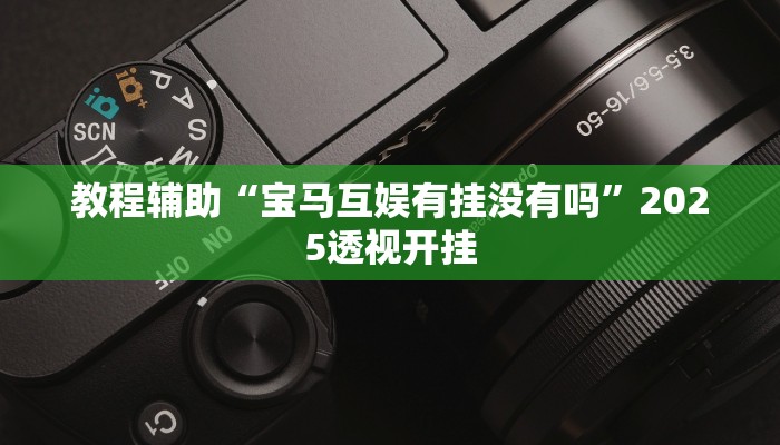 教程辅助“宝马互娱有挂没有吗”2025透视开挂 教程辅助“宝马互娱有挂没有吗”2025透视开挂