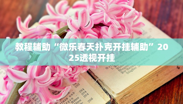 教程辅助“微乐春天扑克开挂辅助”2025透视开挂 教程辅助“微乐春天扑克开挂辅助”2025透视开挂