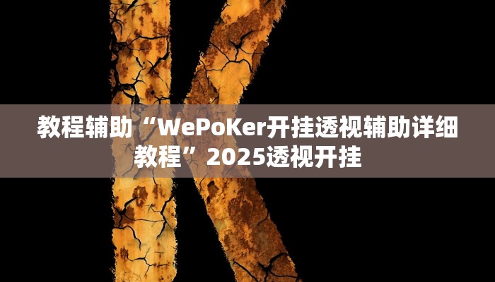 教程辅助“WePoKer开挂透视辅助详细教程”2025透视开挂 教程辅助“WePoKer开挂透视辅助详细教程”2025透视开挂