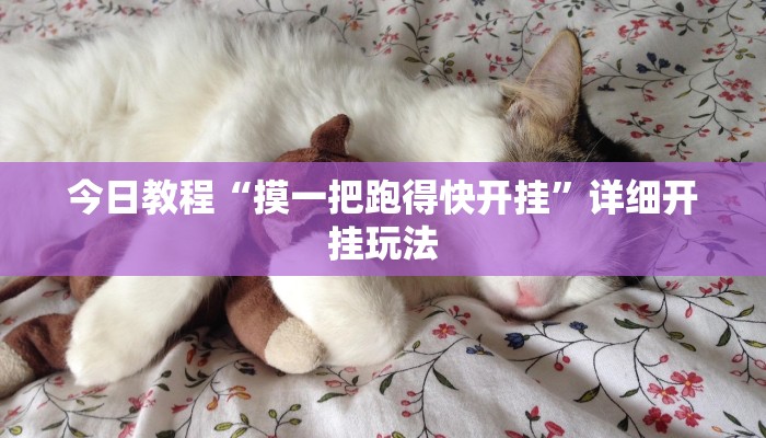 今日教程“摸一把跑得快开挂”详细开挂玩法