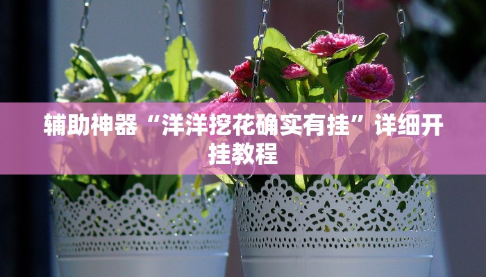 辅助神器“洋洋挖花确实有挂”详细开挂教程 辅助神器“洋洋挖花确实有挂”详细开挂教程