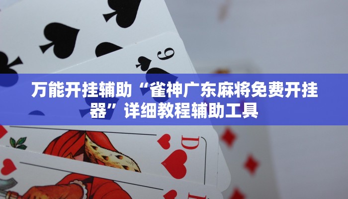 万能开挂辅助“雀神广东麻将免费开挂器”详细教程辅助工具 万能开挂辅助“雀神广东麻将免费开挂器”详细教程辅助工具