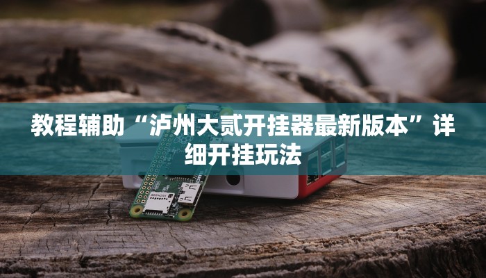 教程辅助“泸州大贰开挂器最新版本”详细开挂玩法 教程辅助“泸州大贰开挂器最新版本”详细开挂玩法