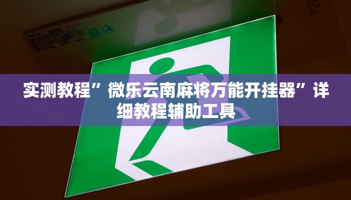 给大家分享“哥哥杭州麻将开挂器”开挂详细教程 给大家分享“哥哥杭州麻将开挂器”开挂详细教程