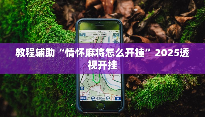 教程辅助“情怀麻将怎么开挂”2025透视开挂 教程辅助“情怀麻将怎么开挂”2025透视开挂