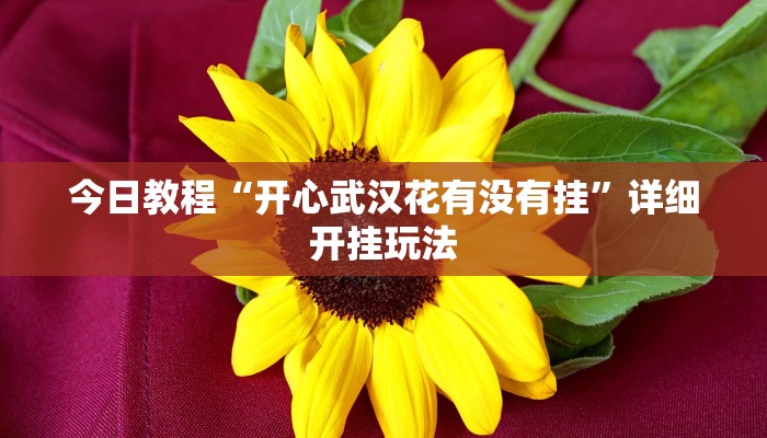 今日教程“开心武汉花有没有挂”详细开挂玩法 今日教程“开心武汉花有没有挂”详细开挂玩法