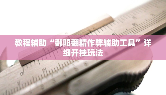 教程辅助“鄱阳翻精作弊辅助工具”详细开挂玩法 教程辅助“鄱阳翻精作弊辅助工具”详细开挂玩法