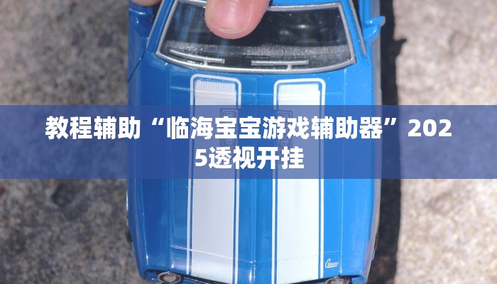 教程辅助“临海宝宝游戏辅助器”2025透视开挂