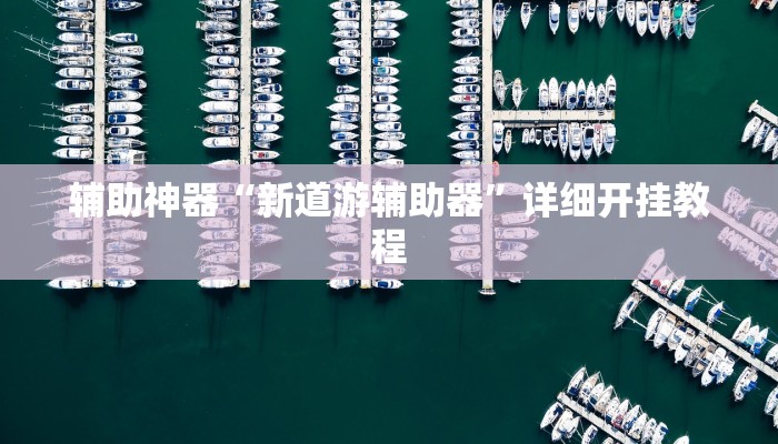 辅助神器“新道游辅助器”详细开挂教程 辅助神器“新道游辅助器”详细开挂教程