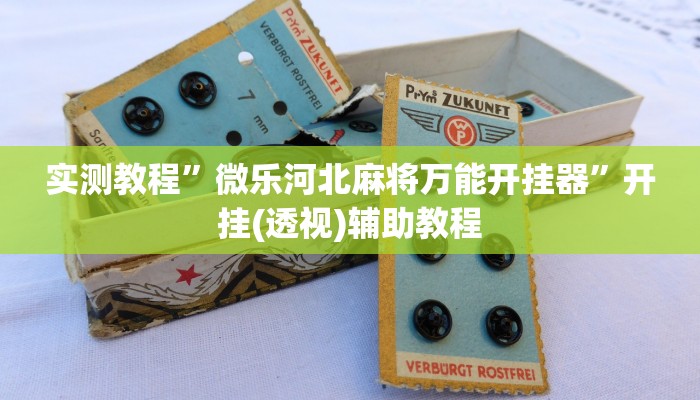 实测教程”微乐河北麻将万能开挂器”开挂(透视)辅助教程 实测教程”微乐河北麻将万能开挂器”开挂(透视)辅助教程