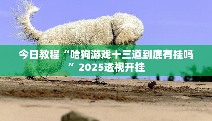 教程开挂辅助“微乐河南麻将万能开挂器通用版”分享用挂教程