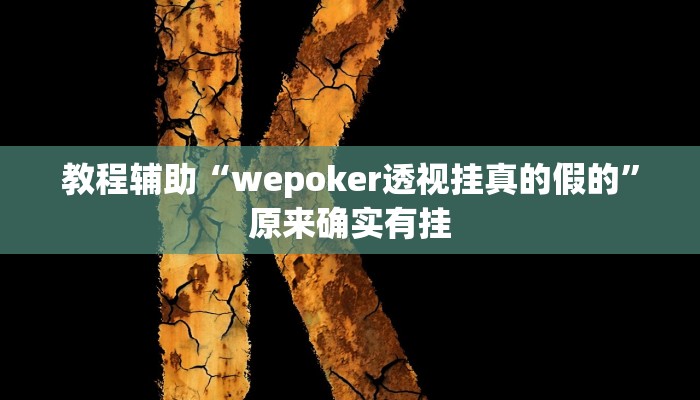 教程辅助“wepoker透视挂真的假的”原来确实有挂 教程辅助“wepoker透视挂真的假的”原来确实有挂