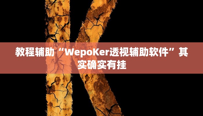 教程辅助“WepoKer透视辅助软件”其实确实有挂 教程辅助“WepoKer透视辅助软件”其实确实有挂